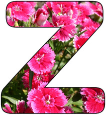 Deko-Buchstaben-Blumen_Z.jpg